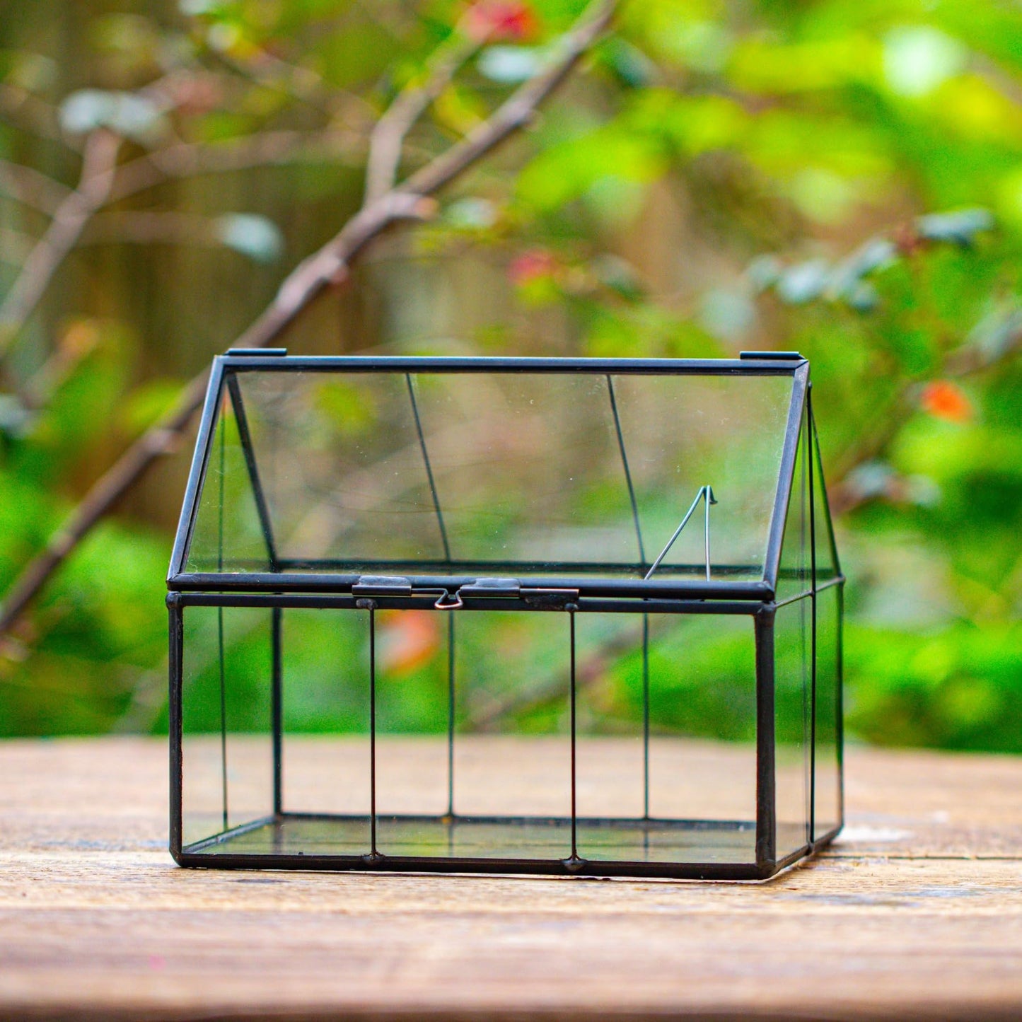 NCYP Mini Glass Terrarium with Lid - 6.1" x 4.25" x 4.92" House Shape Closed Planter Pot for Small Cactus, Succulents Plant - Home Garden Office Tabletop Geometric Decor, Black (Terrarium Only)