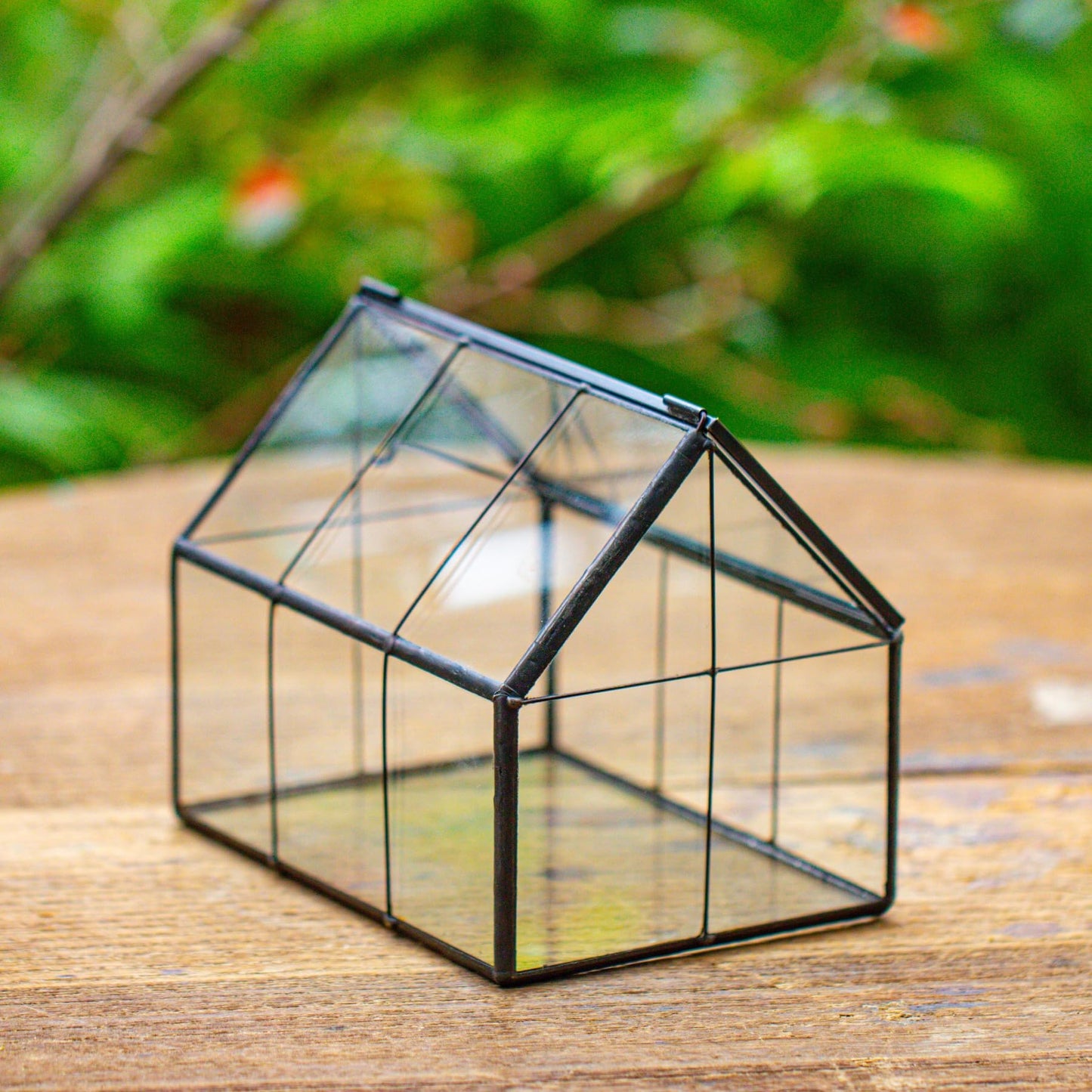 NCYP Mini Glass Terrarium with Lid - 6.1" x 4.25" x 4.92" House Shape Closed Planter Pot for Small Cactus, Succulents Plant - Home Garden Office Tabletop Geometric Decor, Black (Terrarium Only)