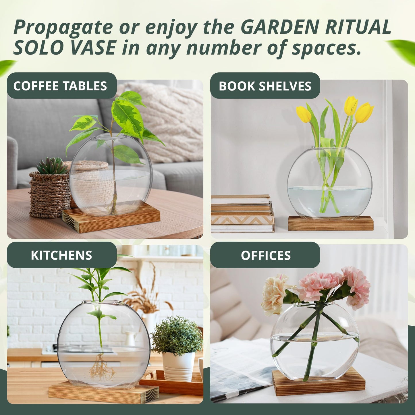 Garden Rituals - Plant Propagation Station Vase, Glass Terrarium Jars, Modern Hydroponic Planters for Indoor Plants, Desktop Glass Pots for Plants Round Vases Plant Holder Home Office Decor, 1Vase