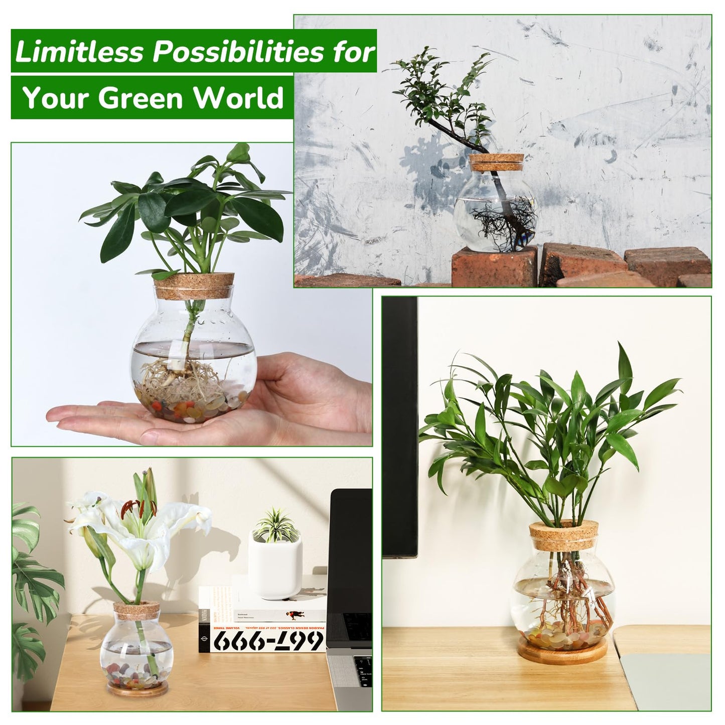 Pechaut Propagation Station, Larger Capacity Ball Vase with Base for Hydroponic Plants, Home/Office Decor & Gift for Plant Lovers, 2pcs Glass Terrariums