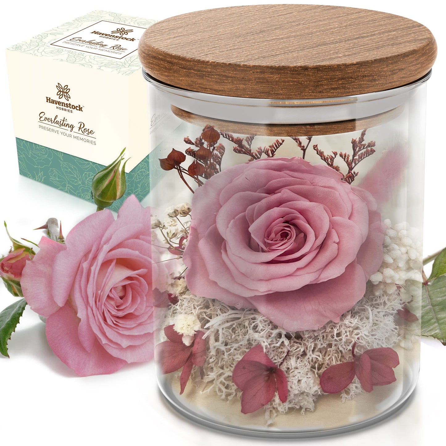Havenstock Pink Rose in a Glass Dome - Premium Real Roses That Last a Year or More - Mother's Day Unique Gifts for Her Preserved Roses - Forever Flower Decor Preserved Flowers - Eternal Rose Display