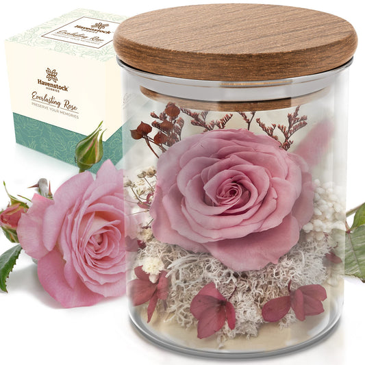 Havenstock Pink Rose in a Glass Dome - Premium Real Roses That Last a Year or More - Mother's Day Unique Gifts for Her Preserved Roses - Forever Flower Decor Preserved Flowers - Eternal Rose Display