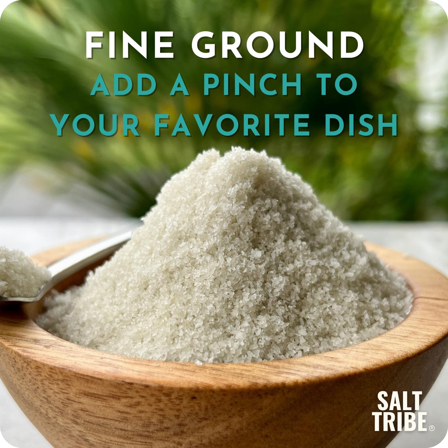 French Grey Sea Salt | Organic 82 Minerals | Fine Ground Sea Salt | Hand Harvested | Light French Gray | Unrefined | Sal Organica | Single Origin France | 425+ Servings