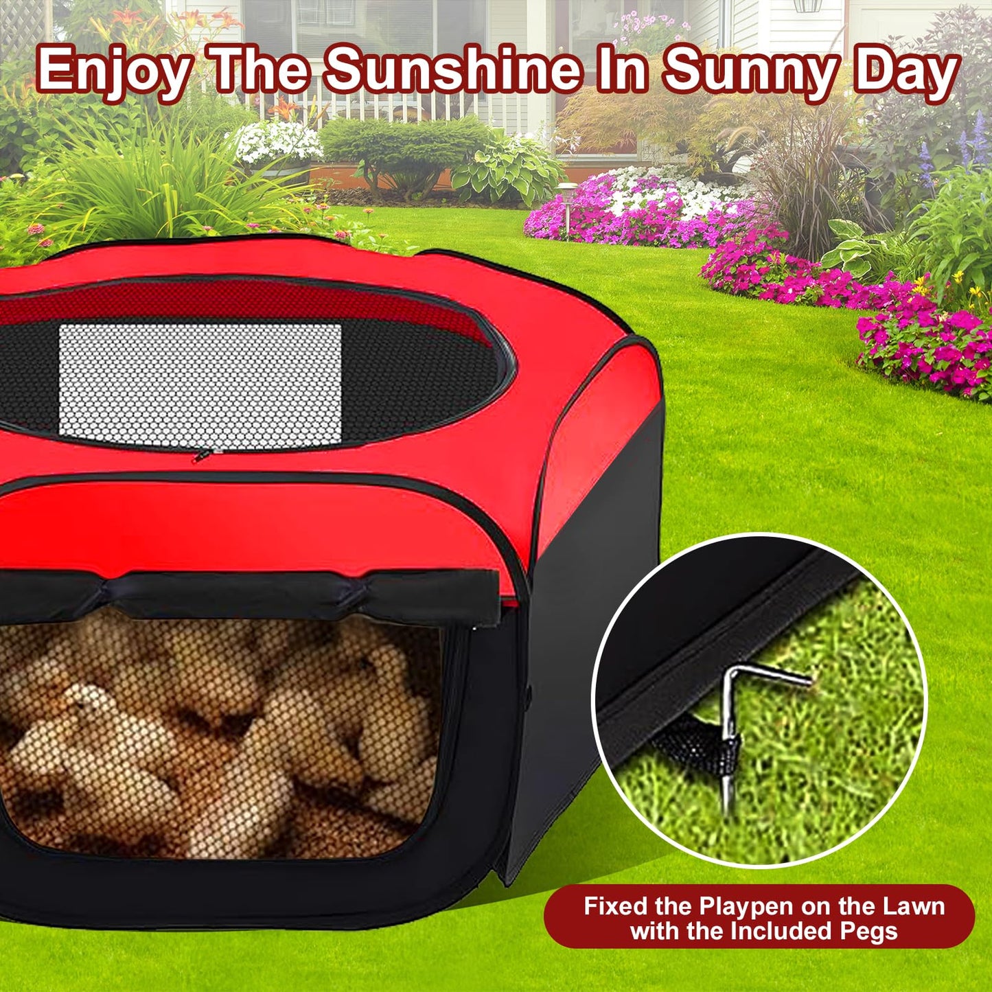 Chick Brooder Box, Chicken Brooder, Chicken House,Pop-Up Baby Chicken Pen Supplies Brooding Up to 15 Baby Chicks,Upgrade Double Door Brooder Box Starter Kit for Chick,Duck and Quail