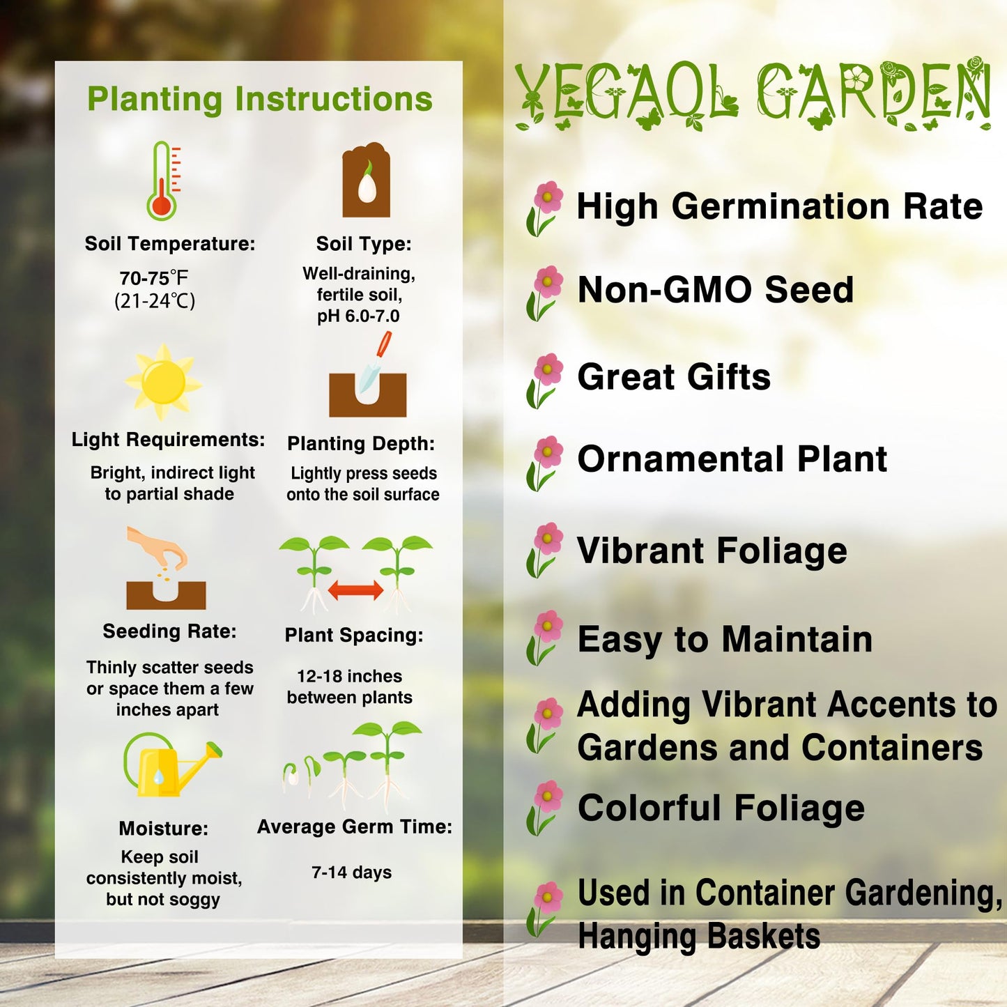 Rare Coleus Popular Ornamental Plant seeds Vibrant Foliage Easy to Maintain Adding Vibrant Accents to Gardens and Containers Used in Container Gardening,Hanging Baskets Outdoor 100Pcs by YEGAOL Garden