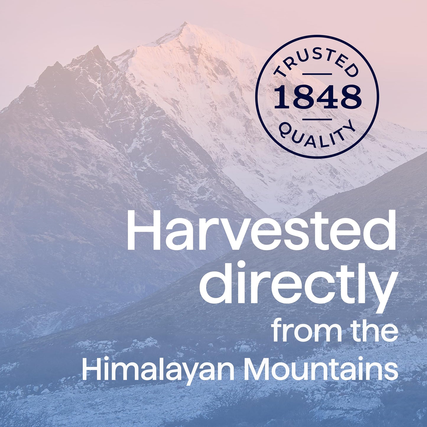 Morton Iodized Himalayan Pink Salt, 22 oz (2 Pack)