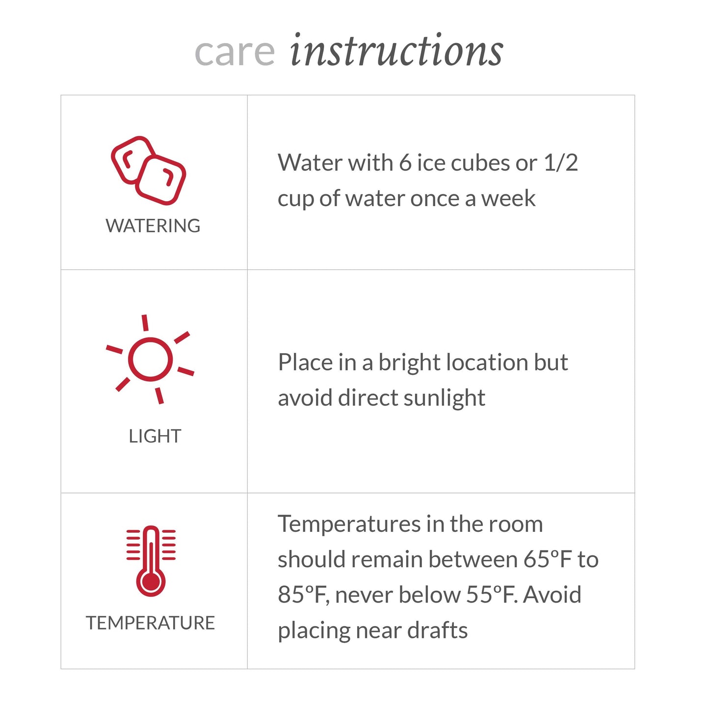 Just Add Ice JAI260 Anthurium Easy Care Live Plants, 5” Diameter, Red