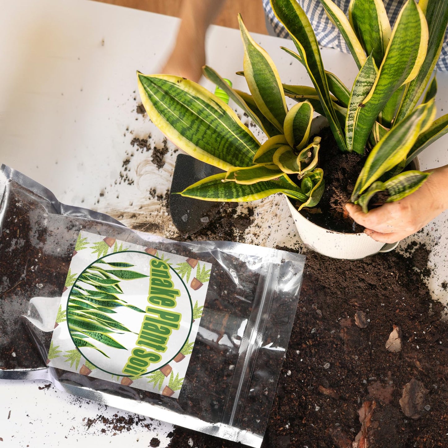 Doter Premium Snake Plant Soil Mix 1qt, Indoor Plants Potting Mix for All Potted Snake Plants, Promote Healthy Growth and Easy Care, black