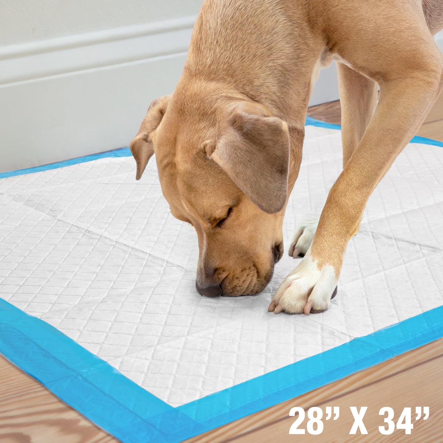 Four Paws Wee-Wee Superior Performance Unscented Extra-Large Pee Pads for Dogs & Puppies, Quilted Leak-Proof Dog Housebreaking Potty Training Floor Protection, 28" x 34", 21 Count