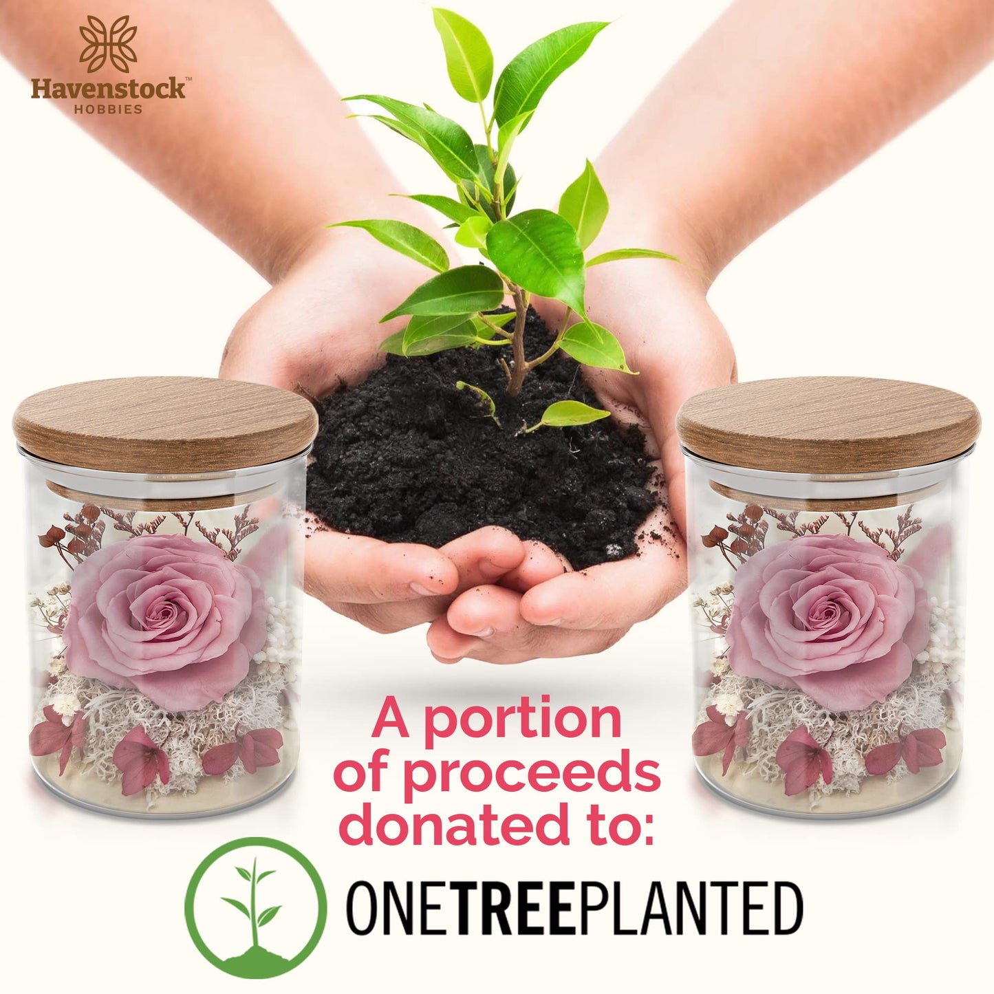 Havenstock Pink Rose in a Glass Dome - Premium Real Roses That Last a Year or More - Mother's Day Unique Gifts for Her Preserved Roses - Forever Flower Decor Preserved Flowers - Eternal Rose Display