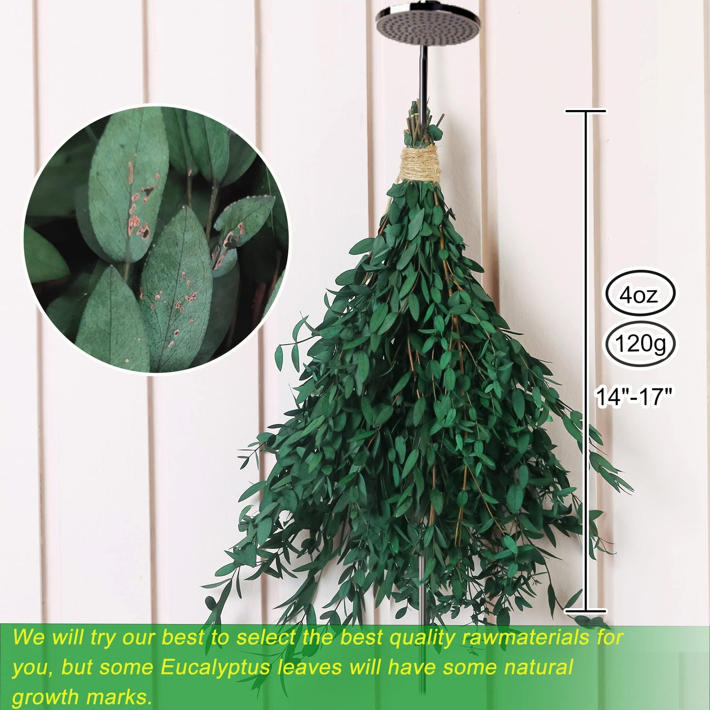 20+ Small Dried Eucalyptus Stems, 7-14 Pcs Preserved Greenery Plants Branches, 17'' Natural Real Eucalyptus Bundles for Shower, Green Leaves Plant for Arrangement, Wedding, Office, Home Decor(4oz)