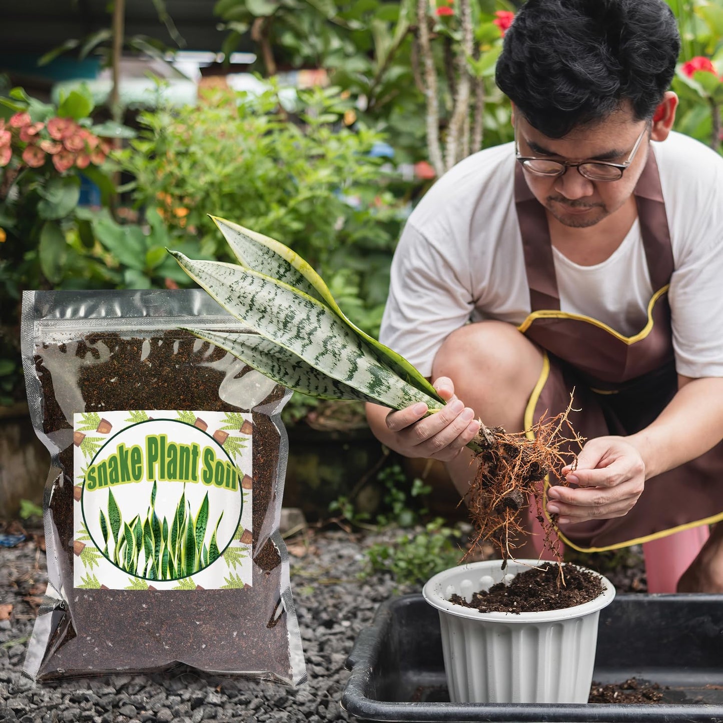 Doter Premium Snake Plant Soil Mix 1qt, Indoor Plants Potting Mix for All Potted Snake Plants, Promote Healthy Growth and Easy Care, black