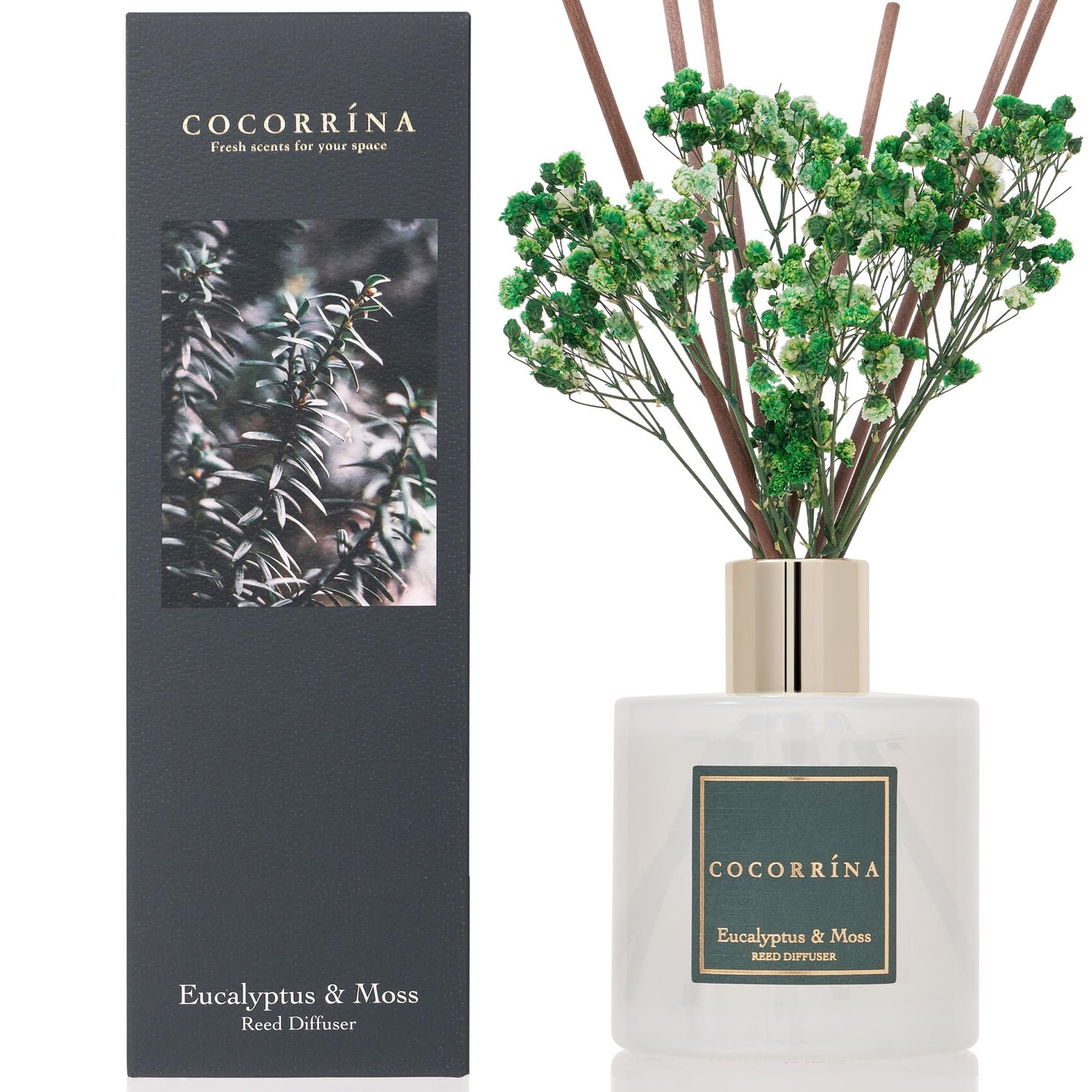 Cocorrína Reed Diffuser Sets- Eucalyptus & Moss Scented Diffuser with Sticks Home Fragrance Reed Diffuser for Bathroom Shelf Decor