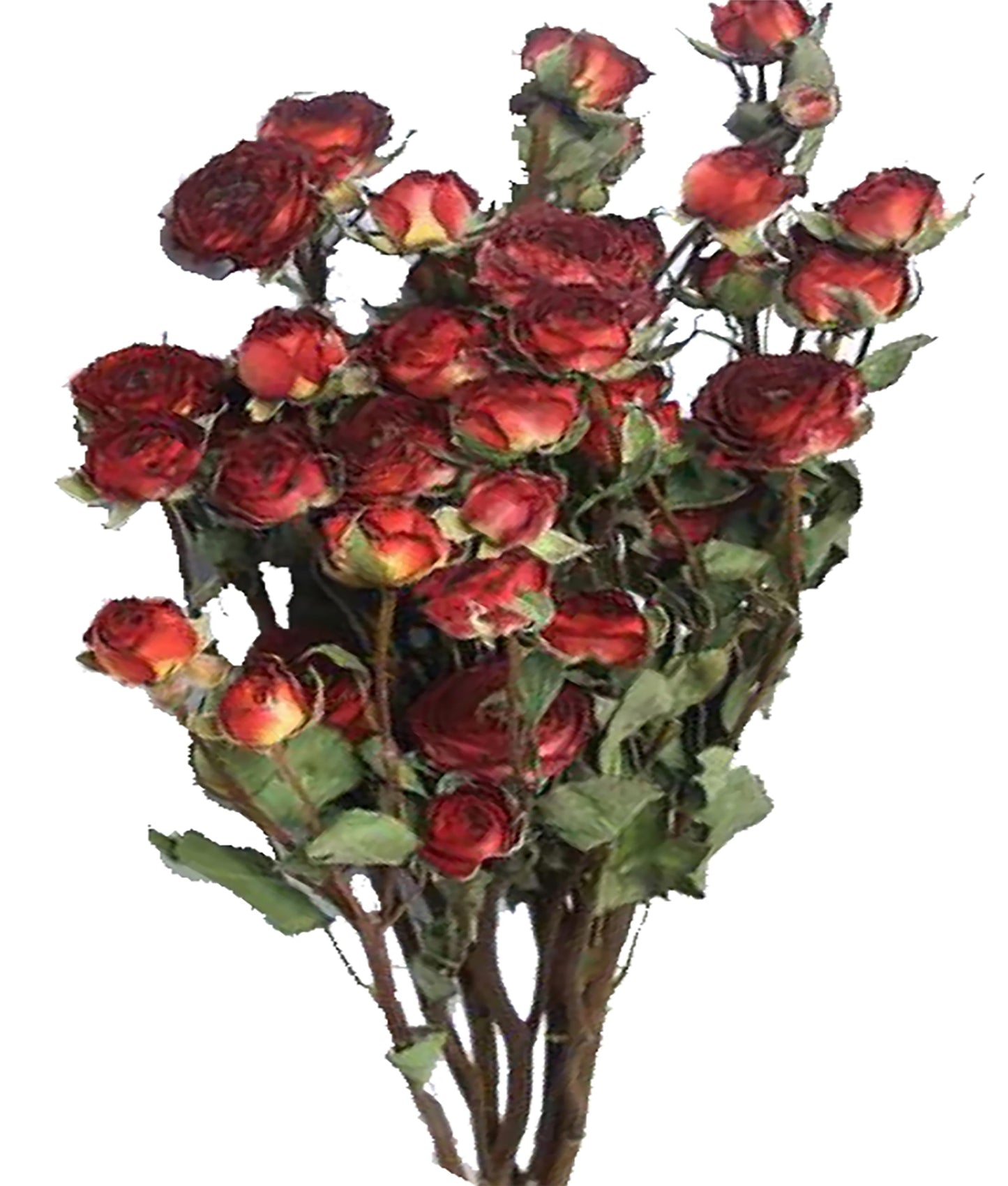 Natural Dried Flowers Bouquet Mini Dried Roses for Wedding Table Vase Decor Boho DIY Wreath Floral Home Office Party Garden Decoration