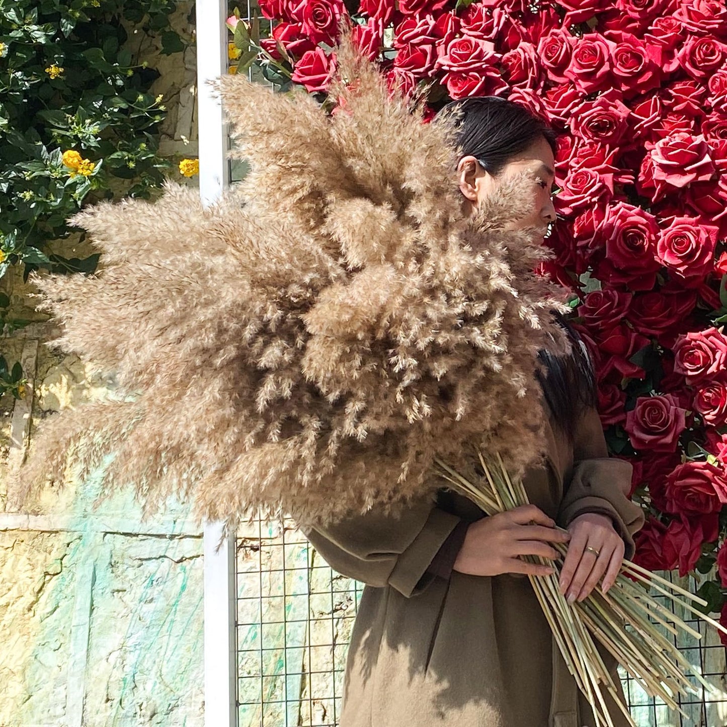 22pcs Pampas Grass Decor-Natural Dried Fluffy Brown Pompas Grass,Short Fluffy Pampas Grass Bulk for Small Boho vases,Wedding Flower,Boho Home Decor,Living Room Table Decor(17inch)
