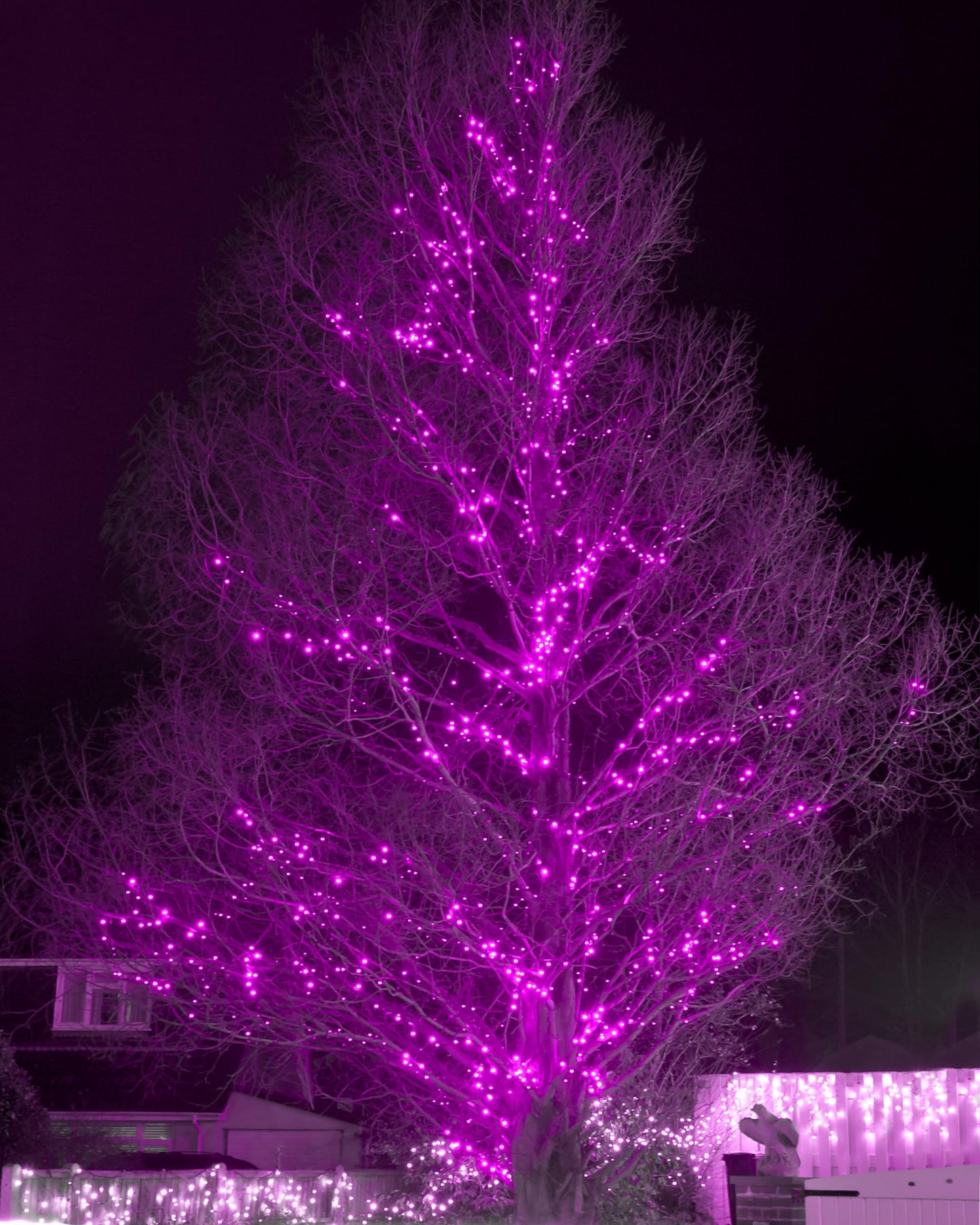 2 Pack Solar String Lights Outdoor, 200 LED Extra-Long 72FT Solar Powered Lights with 8 Lighting Modes, Waterproof Outdoor Lighting Decoration for Garden, Patio, Balcony, Xmas, Wedding, Party (Pink)