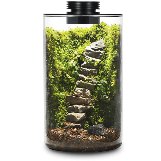 Desktop Glass Plant Terrarium with Grow Light (H:9.8" D:5.9"), for Succulent, Moss, Miniature Gardening Landscape, Betta Fish Tank, Indoor Plant Growth, Office Home Decoration, Plant Lovers Gifts