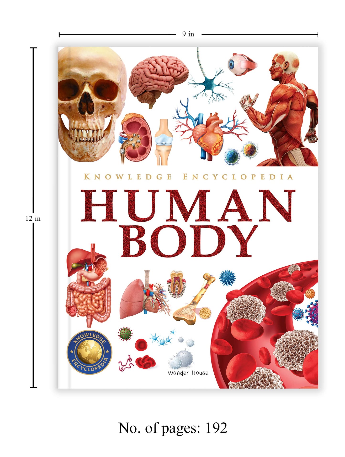 Knowledge Encyclopedia: Human Body (Knowledge Encyclopedia For Children)