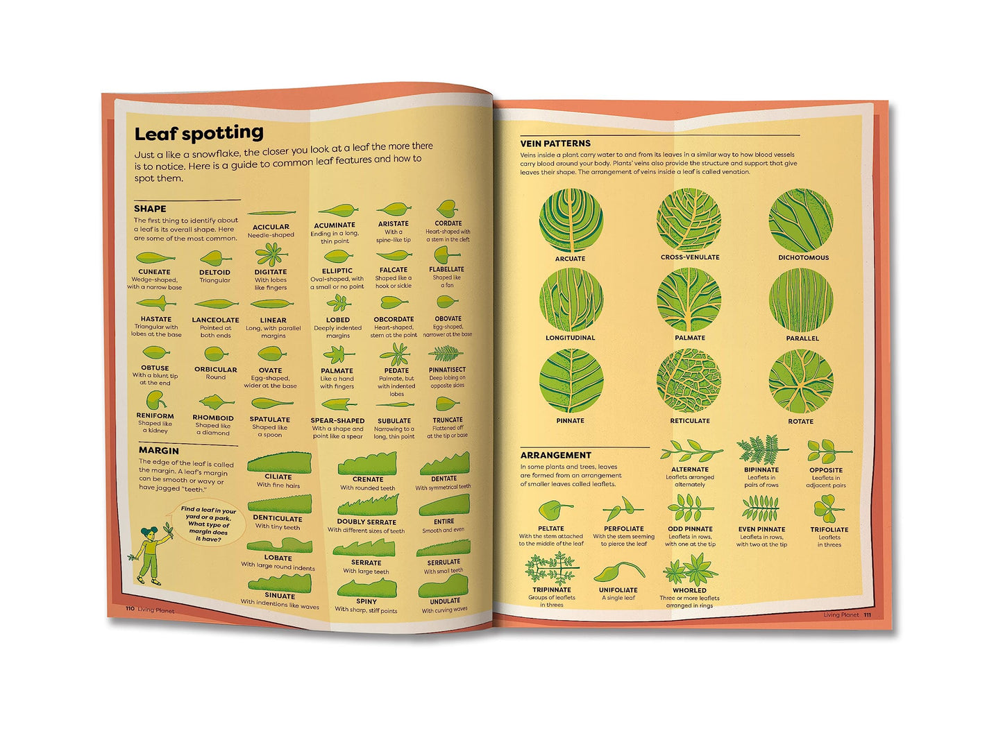 Britannica's Encyclopedia Infographica: 1,000s of Facts & Figures―about Earth, space, animals, the body, technology & more―Revealed in Pictures