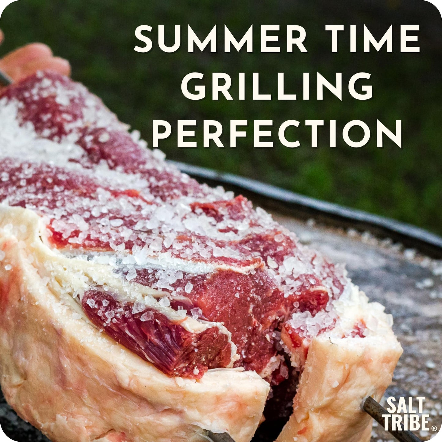 Salt Tribe | Baja Sea Salt | Coarse Natural Grain Salt for Grinder | 90+ Trace Minerals for Hydration Support | Sal Organica | Low Sodium Organic & Unrefined | Single Origin Mexico | 15oz | 425+ Servings