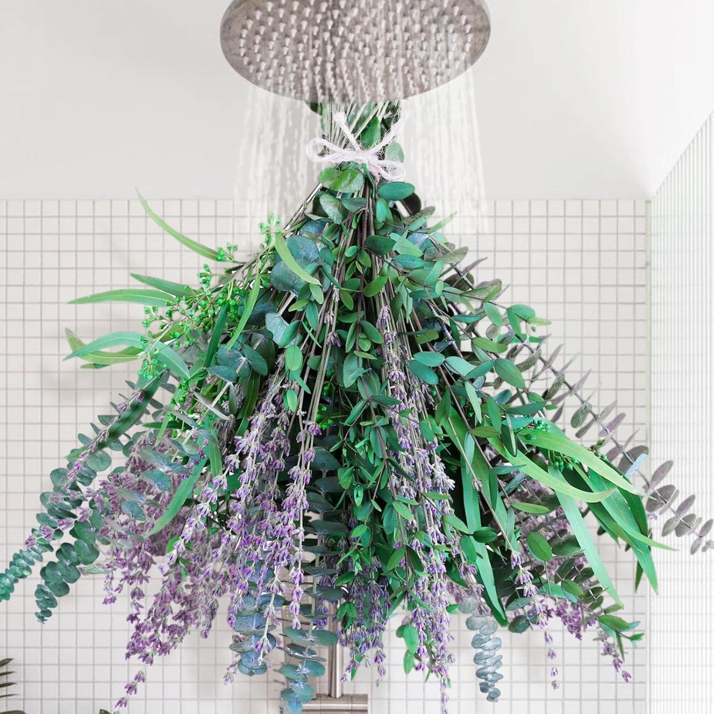65 Pcs Mix Dried Eucalyptus Stems & Lavender Bundle for Shower, 17" Natural Real Preserved Eucalyptus Leaves Greenery, Lavender for Hanging Shower Plants, Flower Arrangements, Vase Decor