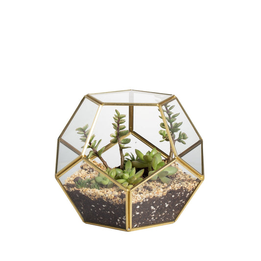 NCYP Glass Terrarium for Small Cactus, Succulents - Gold Geometric Planter Pot, Home Office Tabletop Miniature Garden Decor, 6.89 x 6.89 x 5.9 Inches, Handmade (No Plants, No Door)