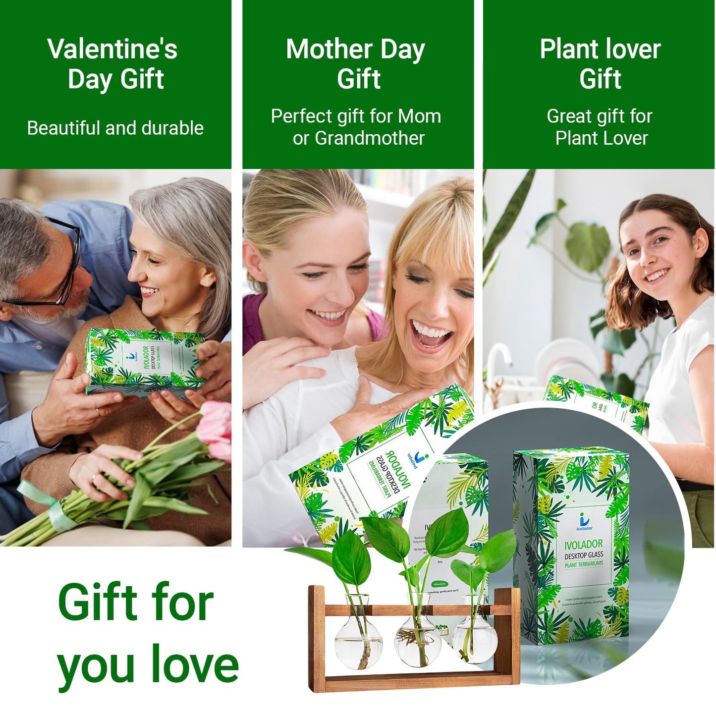 Plant Propagation Station,Plant Terrarium,Plant Starter,Gifts for Plant Lovers,Glass Bulb Terrarium with Retro Solid Wooden Stand for Hydroponics Plants Home Garden Wedding Décor (3 Bulbs)