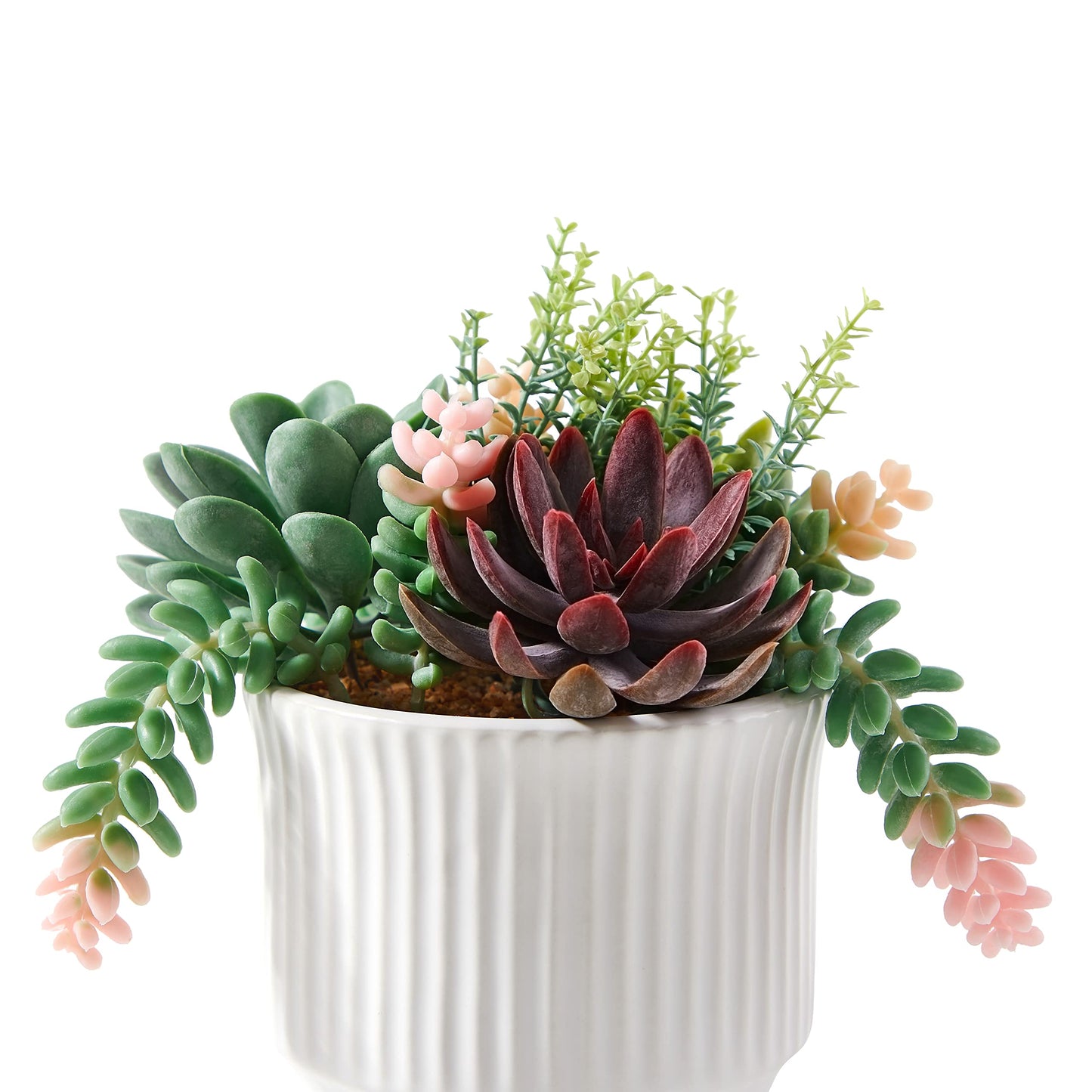 ASTRIDIA Artificial Succulent Plants, Faux Assorted Succulents Fake Plants in White Ceramic Pots for Home Decor, Bedroom, Office, Desk, Living Room, Set of 2