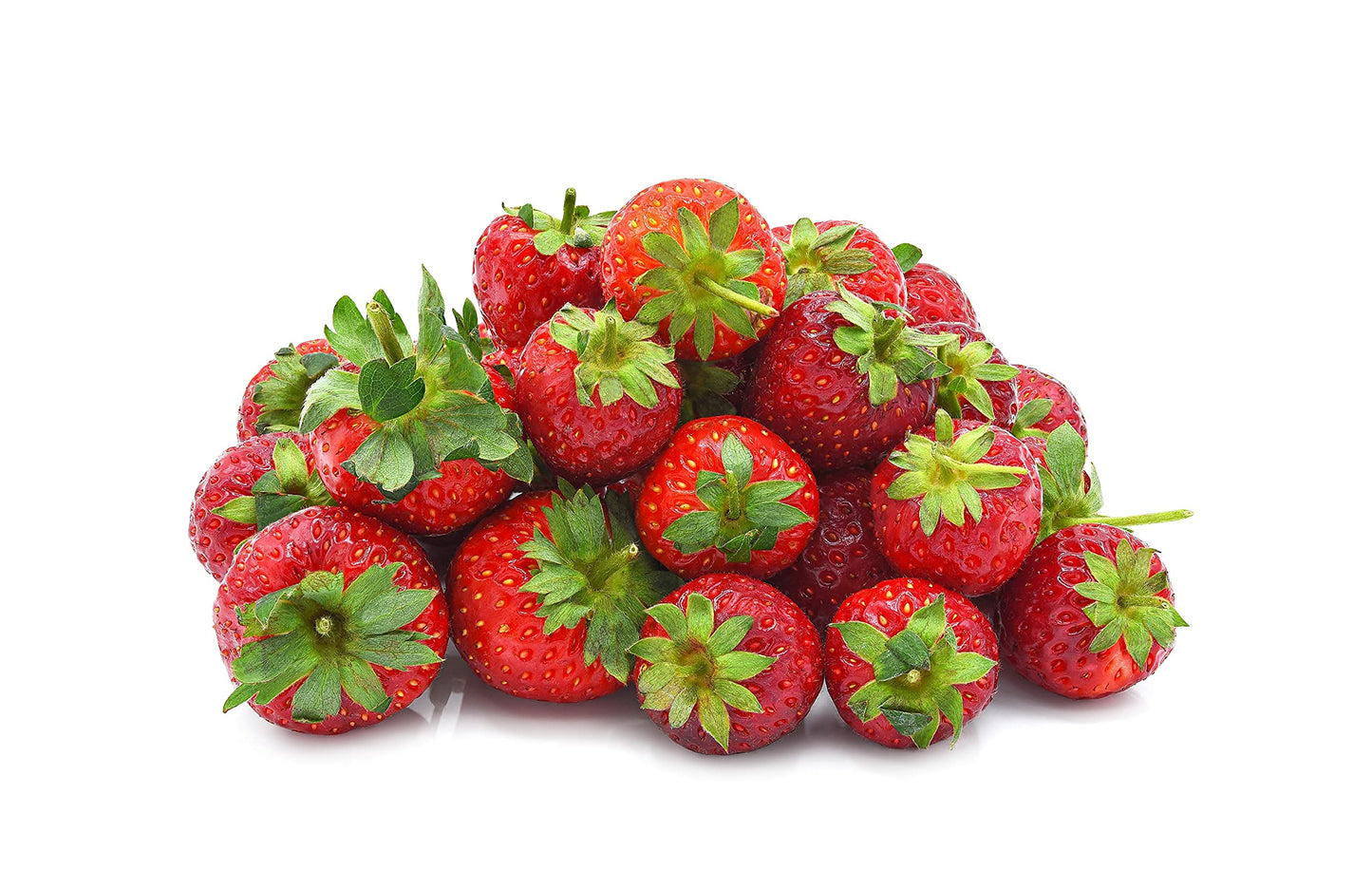 Seascape Everbearing Strawberry Bare Roots Plants, 25 per Pack, Hardy Plants Non GMO