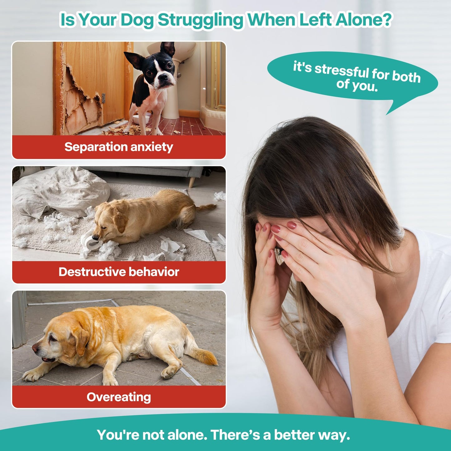 2 in 1 Lick Mat for Crate Training, Dog Slow Feeder Anxiety Relief Enrichment Pad with Suction Cups, Dishwasher Safe, BPA-Free Silicone for Small & Medium Dogs, 1 Pack