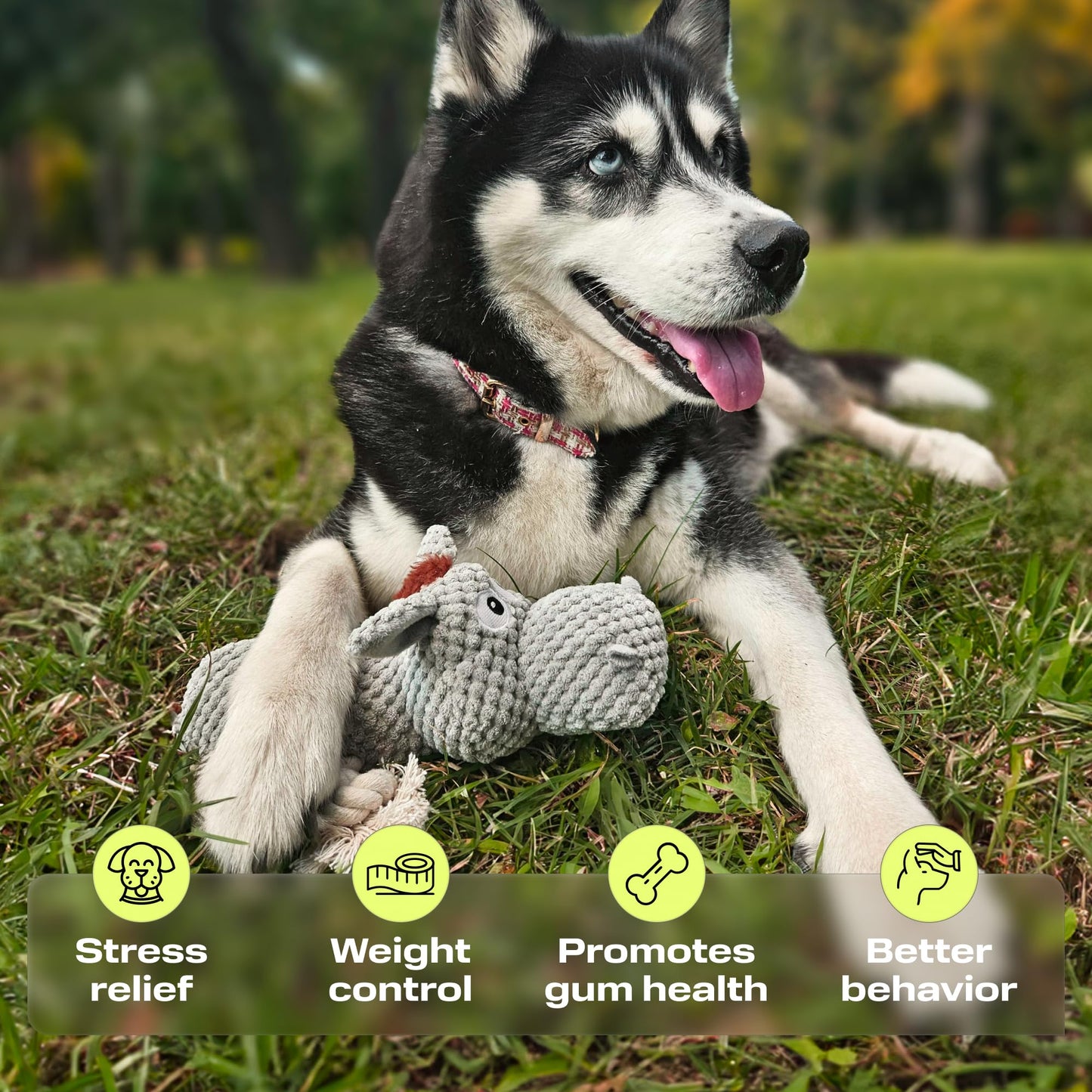 PetSpy Squeaky Stuffed Dog Toy Pack - 3 Dog Chew Toys for Large, Medium, Small Dogs and Puppies- Rope Donkey, Plush Octopus, Crinkle Duck Toy - Pet Supplies Toys for Dogs to Keep Them Busy