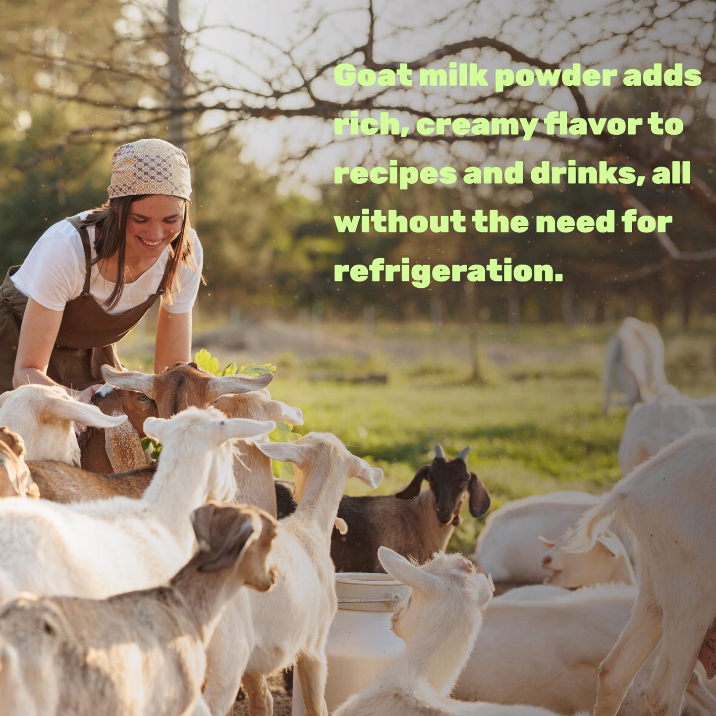 Goat Milk Powder, 1lb – Natural Grass Fed Source from Australia – Farm Direct – Easy to Digest – Powdered Goat Milk Formula for Drinks, Baking & Cooking – Non-GMO, Filler Free