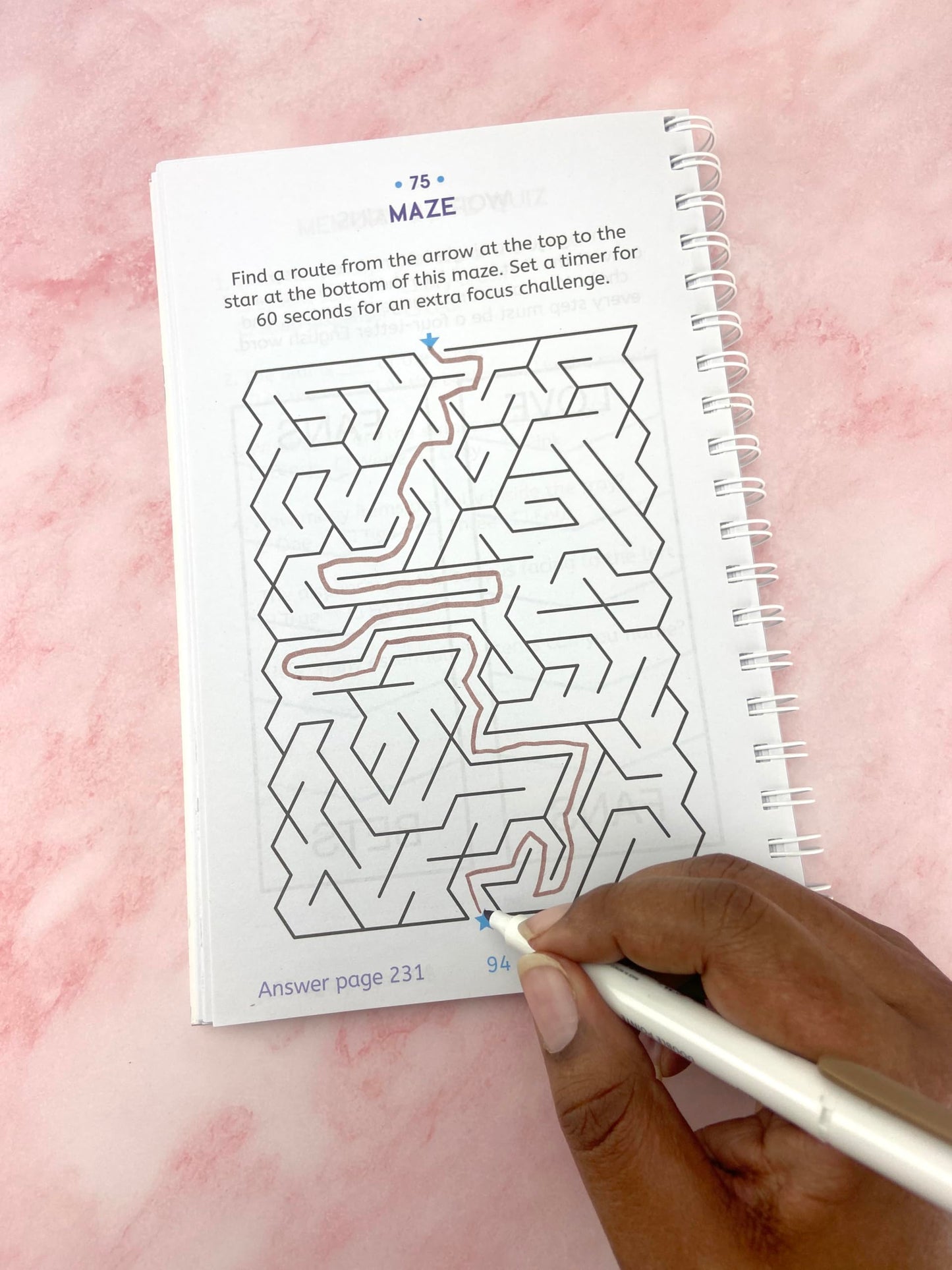 Large Print Memory Puzzles: 175+ Puzzles and Activities for Adults to Exercise Memory and Improve Focus - Includes Spiral Bound / Lay Flat Design and ... Font for Easy Reading (Brain Busters)