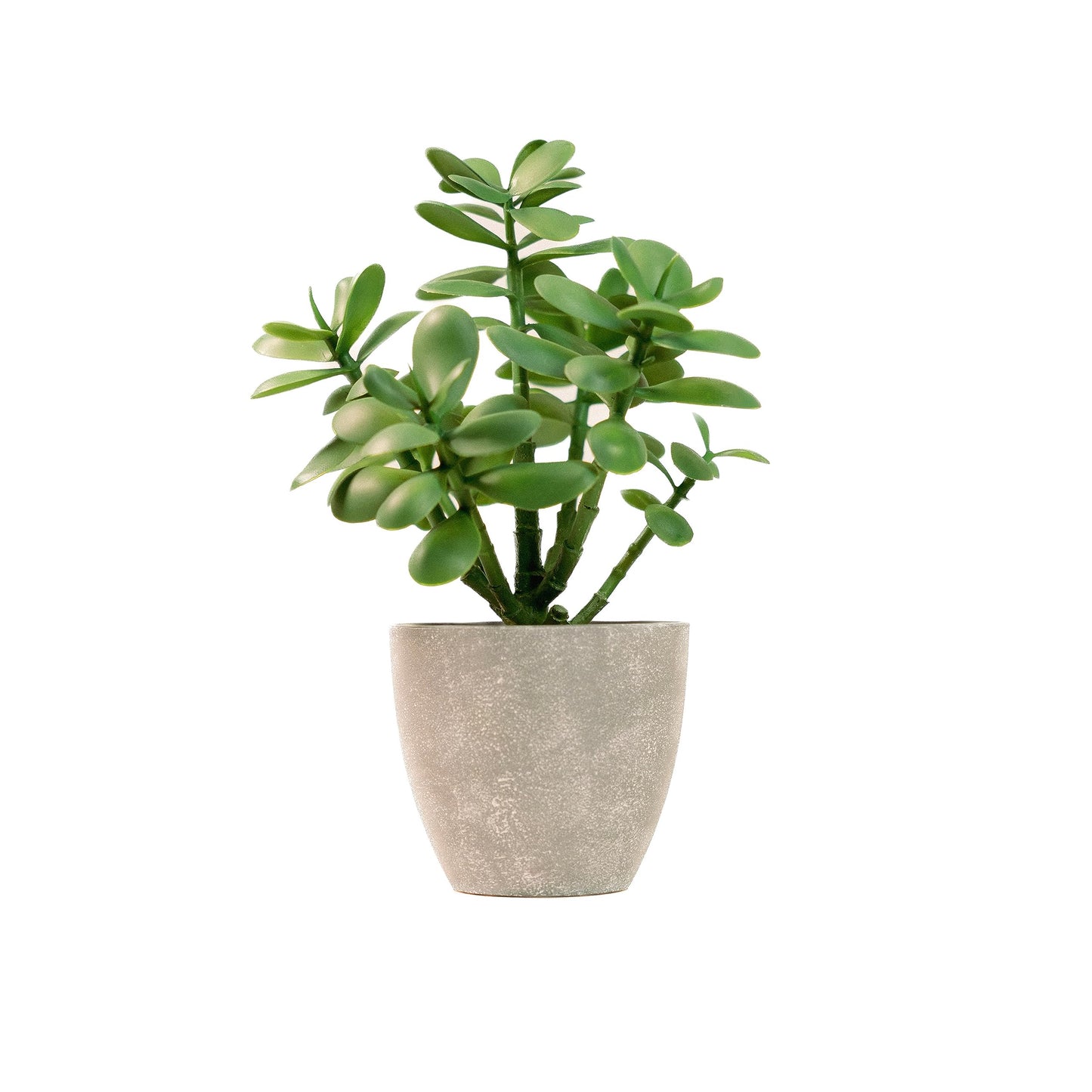 365 Blooming Decor 16 Inch Marble Pattern Potted Jade Plant - Luxury Artificial Succulent for Home, Office, Bathroom, Bookshelf Decor - Realistic Look, Maintenance-Free, Feng Shui Money Tree