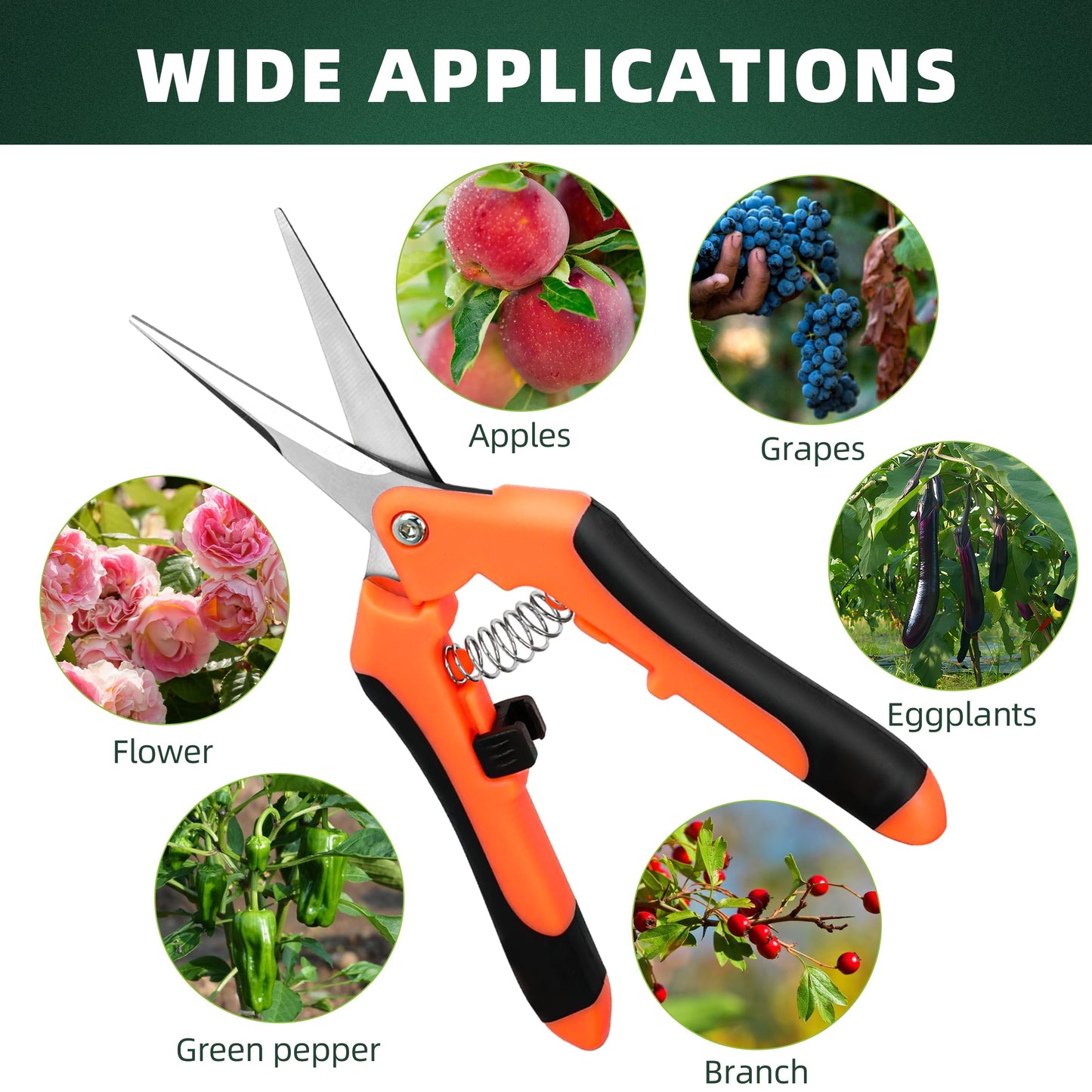 EWPJDK 3-Pack Stainless Steel Pruning Shears, Pruning Snips and Clippers for Gardening