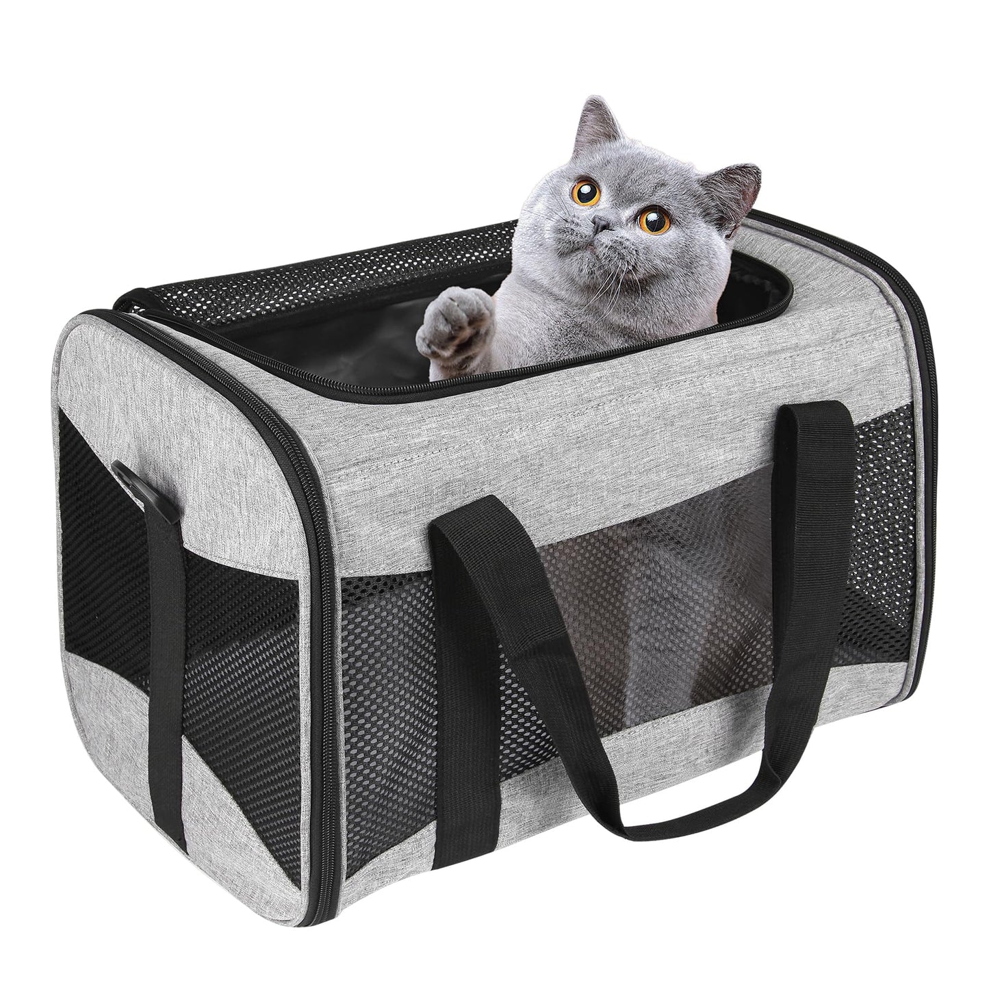 Cat Carrying Case - Pet Carrier Airline Approved, Protable and Breathable Pet Travel Carrier Removable Fleece Pad, Collapsible Cat Carrier Dog Carrier for Medium Cats Small Cats Dogs(15 * 10 * 10)