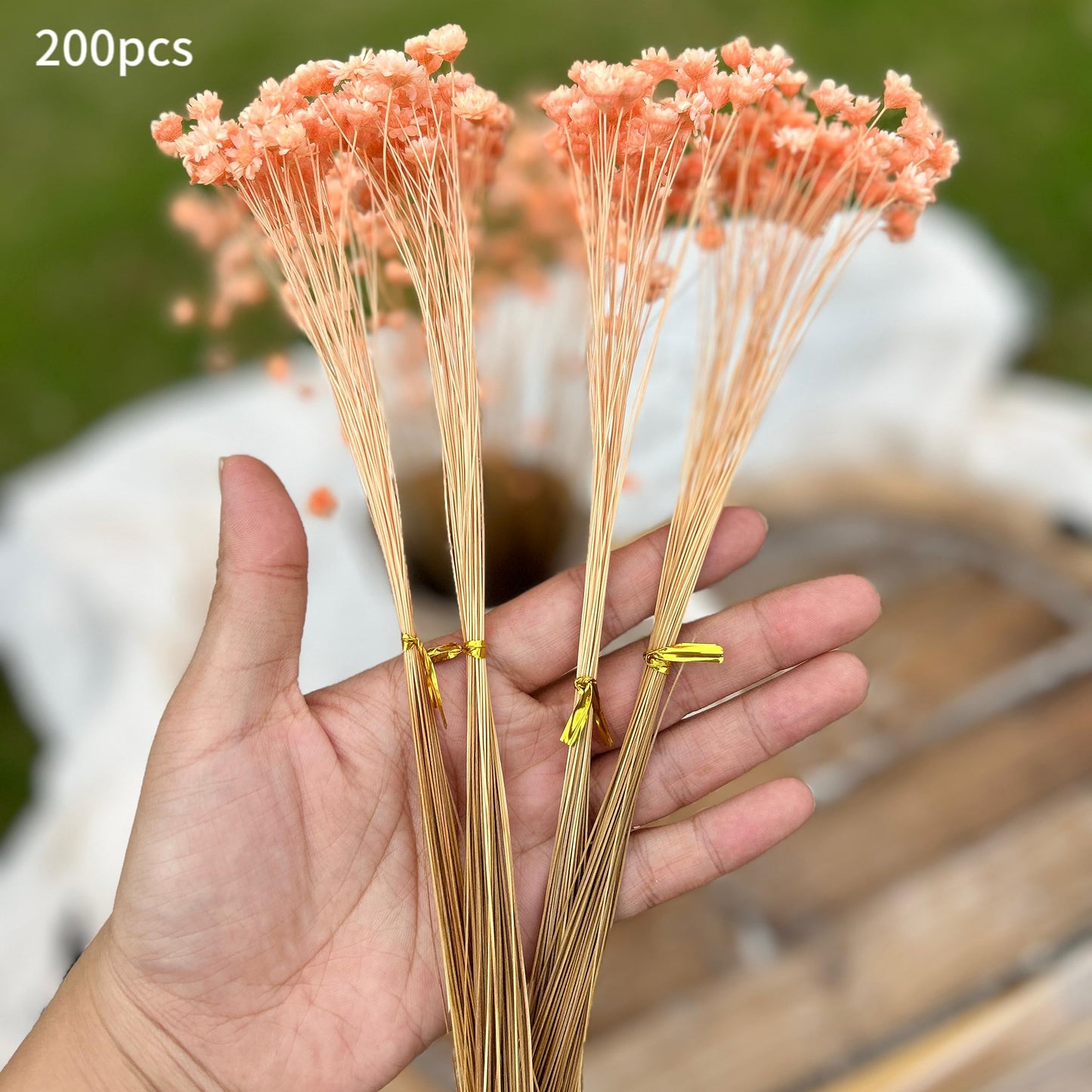 200 Stems Natural Dried Flowers Brazilian Small Star Daisy Dried Decorative Mini Chamomile Bouquet for Wedding Floral Arrangements Home Decorations Valentine's Day Gifts (Orange)