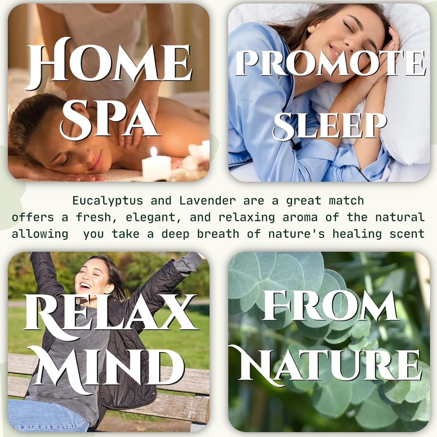 65 Pcs Mix Dried Eucalyptus Stems & Lavender Bundle for Shower, 17" Natural Real Preserved Eucalyptus Leaves Greenery, Lavender for Hanging Shower Plants, Flower Arrangements, Vase Decor