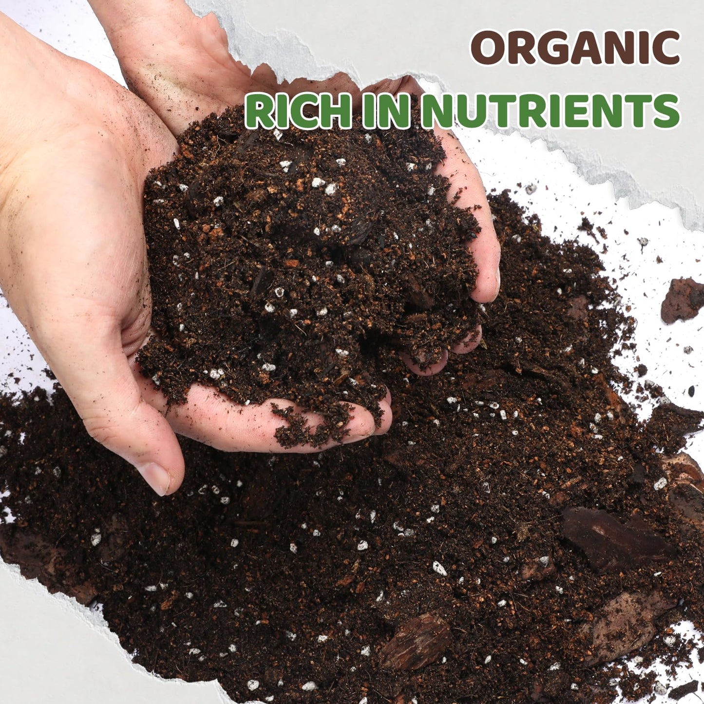 Doter Premium Snake Plant Soil Mix 1qt, Indoor Plants Potting Mix for All Potted Snake Plants, Promote Healthy Growth and Easy Care, black