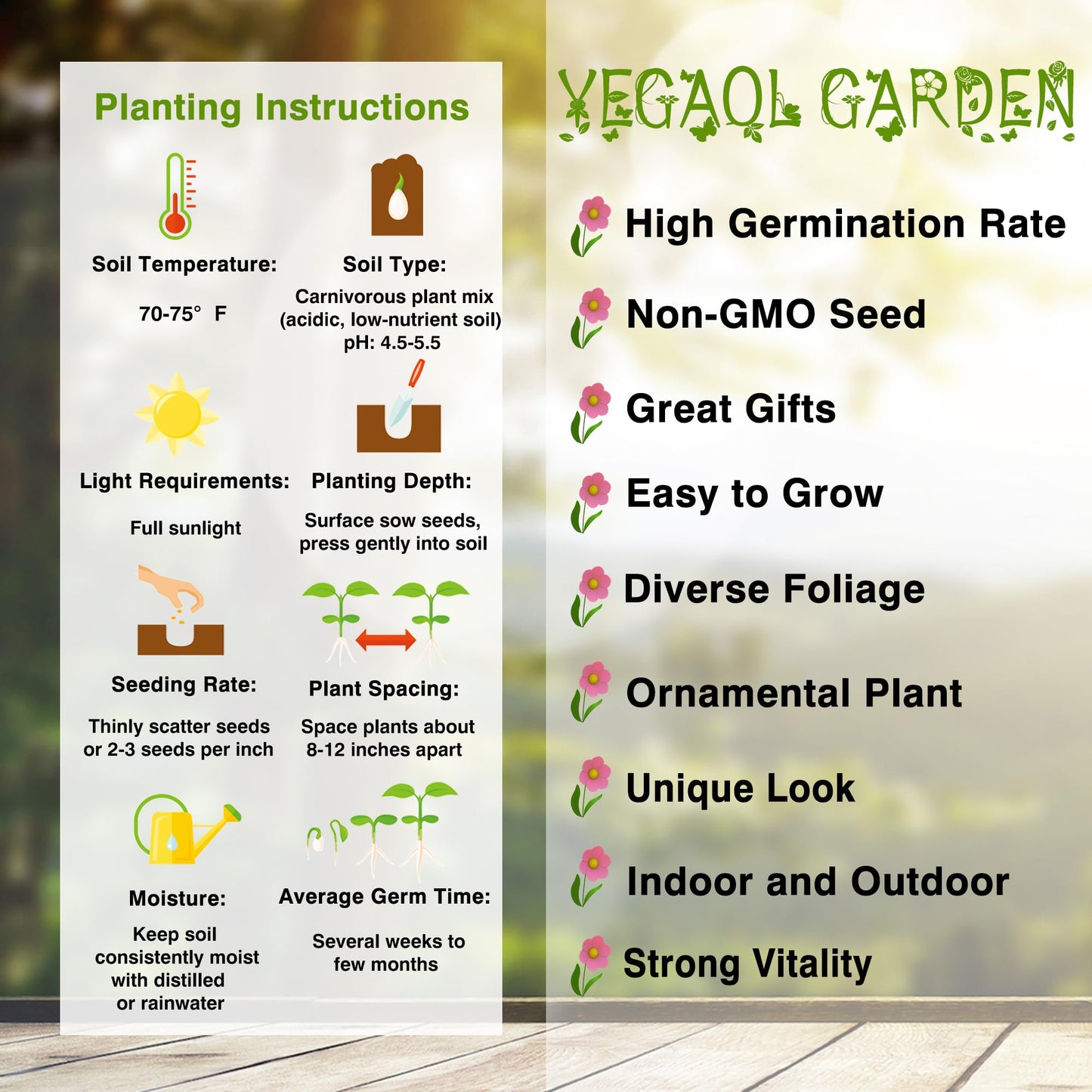 Sarracenia Purpurea Seeds Purple Pitcher Plant Unique Pitcher-Shaped Leaves Attract Pollinators Thrive in Nutrient-Poor Wetland Environments Garden Outdoor 25Pcs by YEGAOL Garden