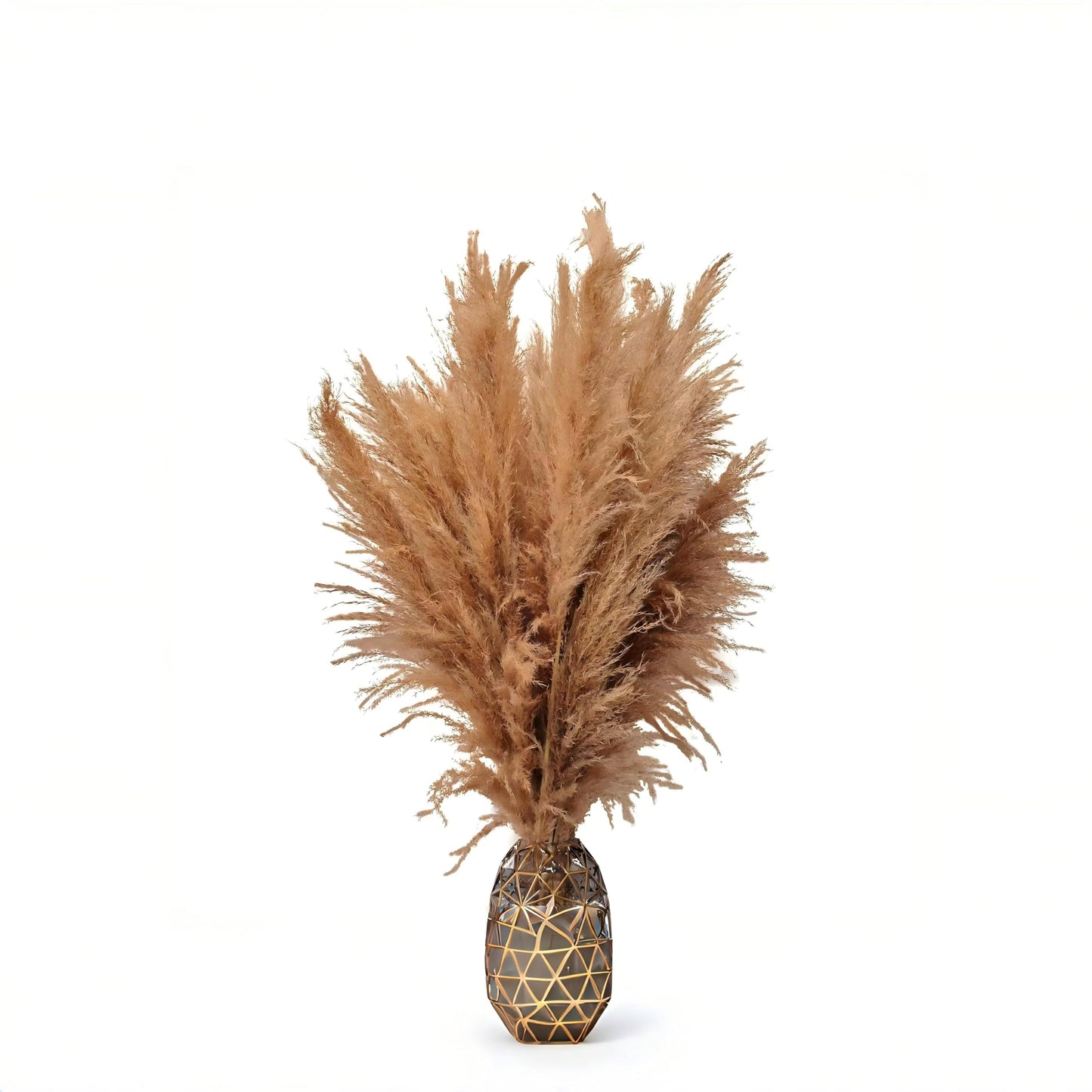 auleegay 20 PCS 40 inches Bohemian Style Handpicked Pampas Grass Dried Flowers, Big Pampas Grass, Fluffy Grass, Dried Flowers for Wedding, Party