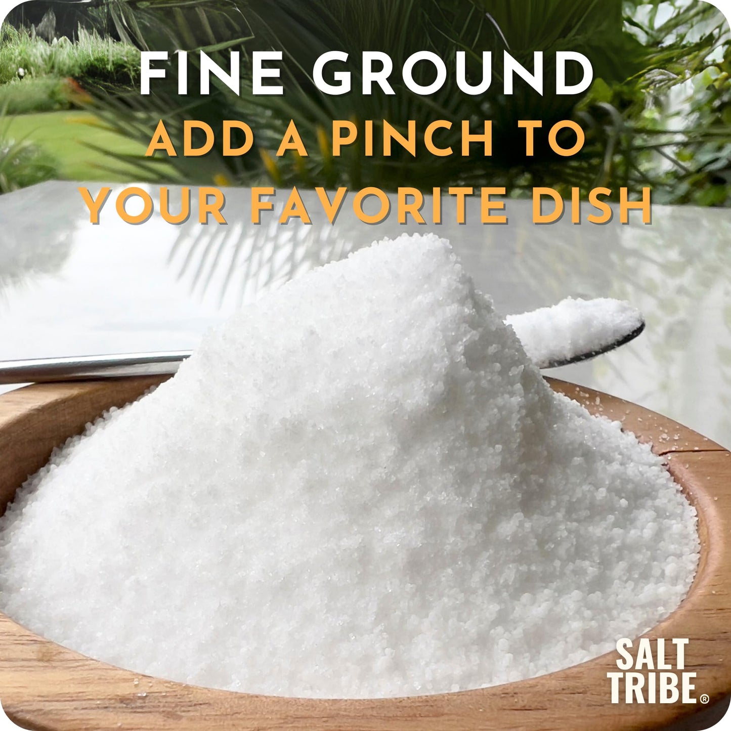 Salt Tribe™ | Baja Sea Salt | Mineral Rich | 90+ Trace Minerals | Fine Ground | Hydration Support | Sal Organica | Low Sodium | Organic & Unrefined | Single Origin Mexico (8 Ounce)