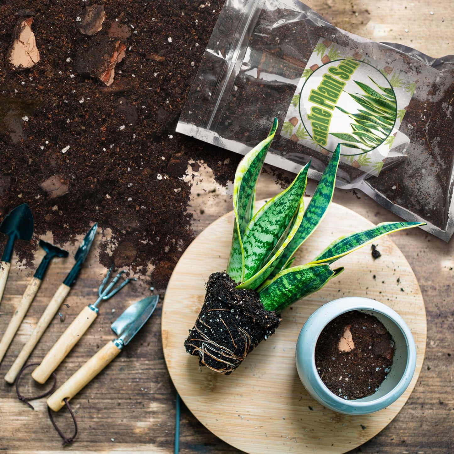 Doter Premium Snake Plant Soil Mix 1qt, Indoor Plants Potting Mix for All Potted Snake Plants, Promote Healthy Growth and Easy Care, black