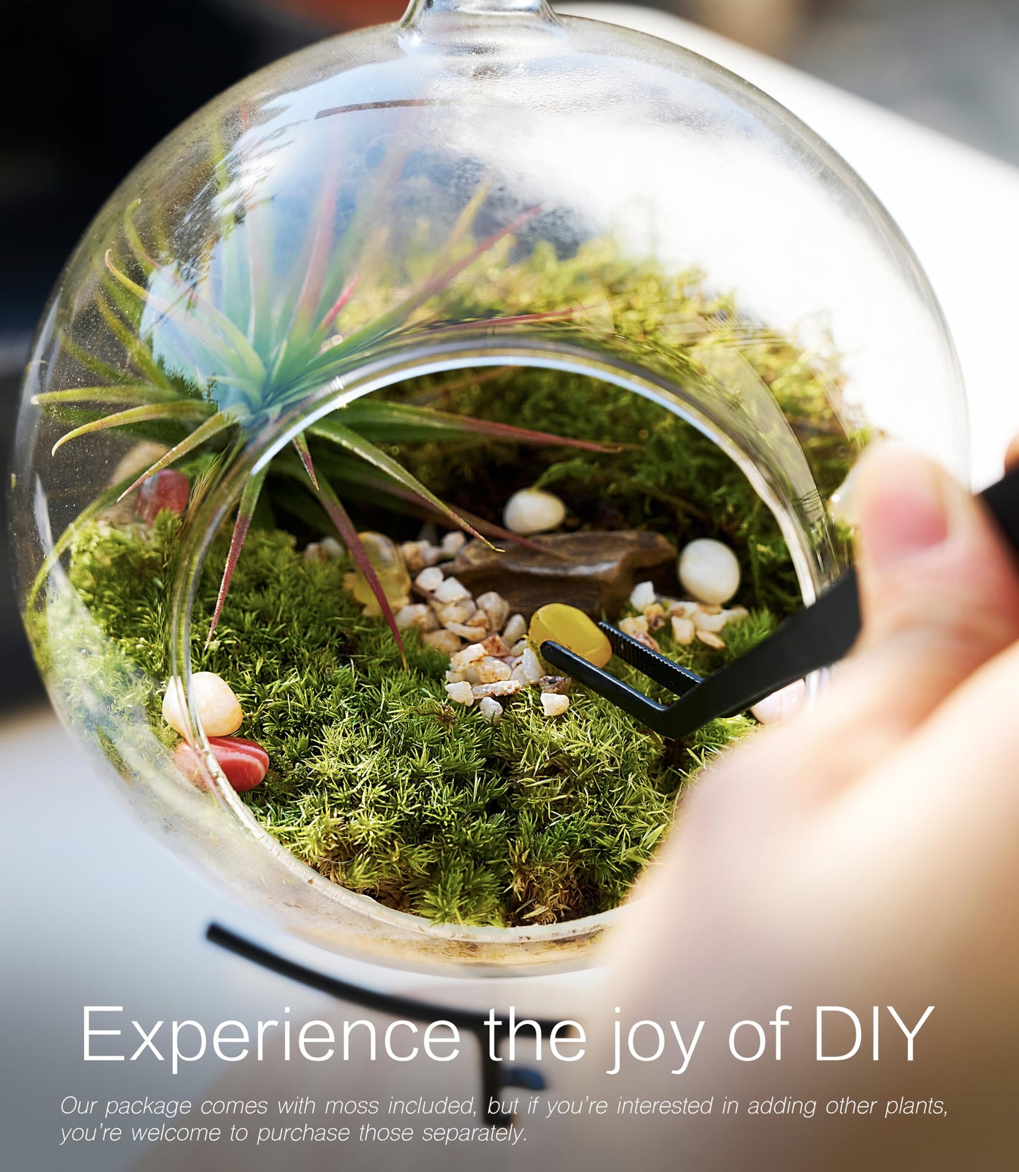 15-Piece Terrarium Kit with Live Moss – DIY Glass Globe Set with Tools, Soil, Stones & Spray Bottle – Indoor Mini Garden Gift for Plant Lovers, Home Decor & Zen Craft