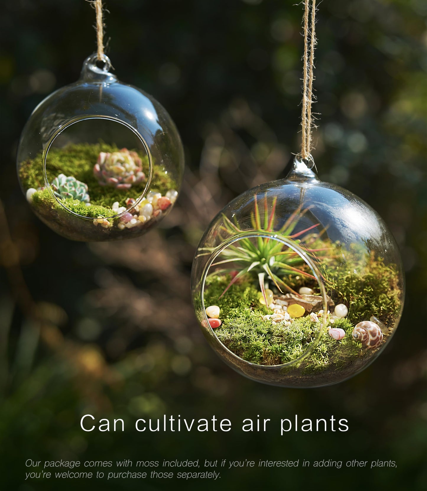 15-Piece Terrarium Kit with Live Moss – DIY Glass Globe Set with Tools, Soil, Stones & Spray Bottle – Indoor Mini Garden Gift for Plant Lovers, Home Decor & Zen Craft