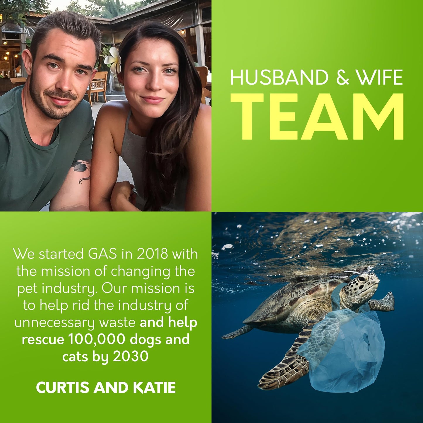 Lick-Safe Pet Wipes for Dogs & Cats - Vet-Approved & Hypoallergenic - Cleans Mud, Odors & Dander - Feline & Dog Wipes for Paws, Face & Butt - Earth-Friendly & Unscented Cat Cleaning - Pack of 100