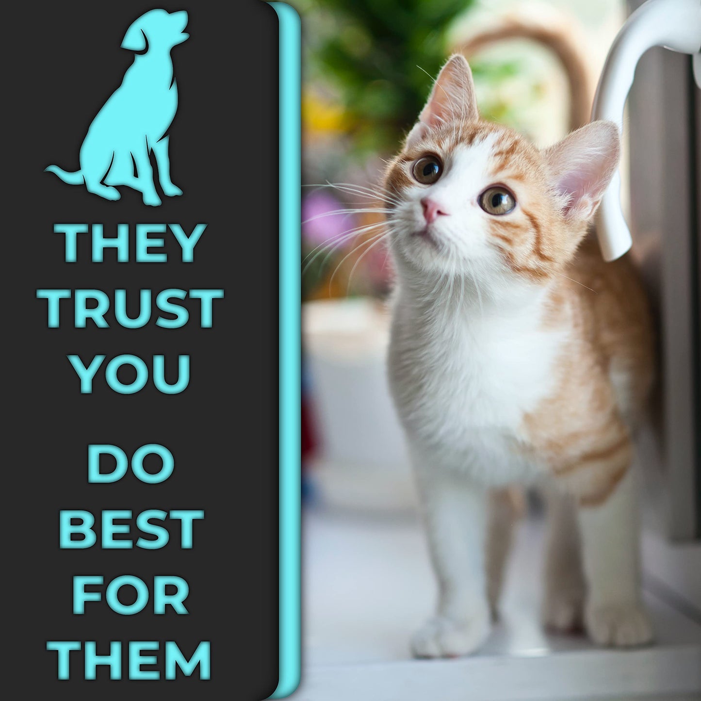 Cat Nail Clipper by H&H Pets - Professional Sharp Stainless Steel Claw Clipper Trimmer with Sturdy Non Slip Handles - for Small Animal & Cats Nail Cutter