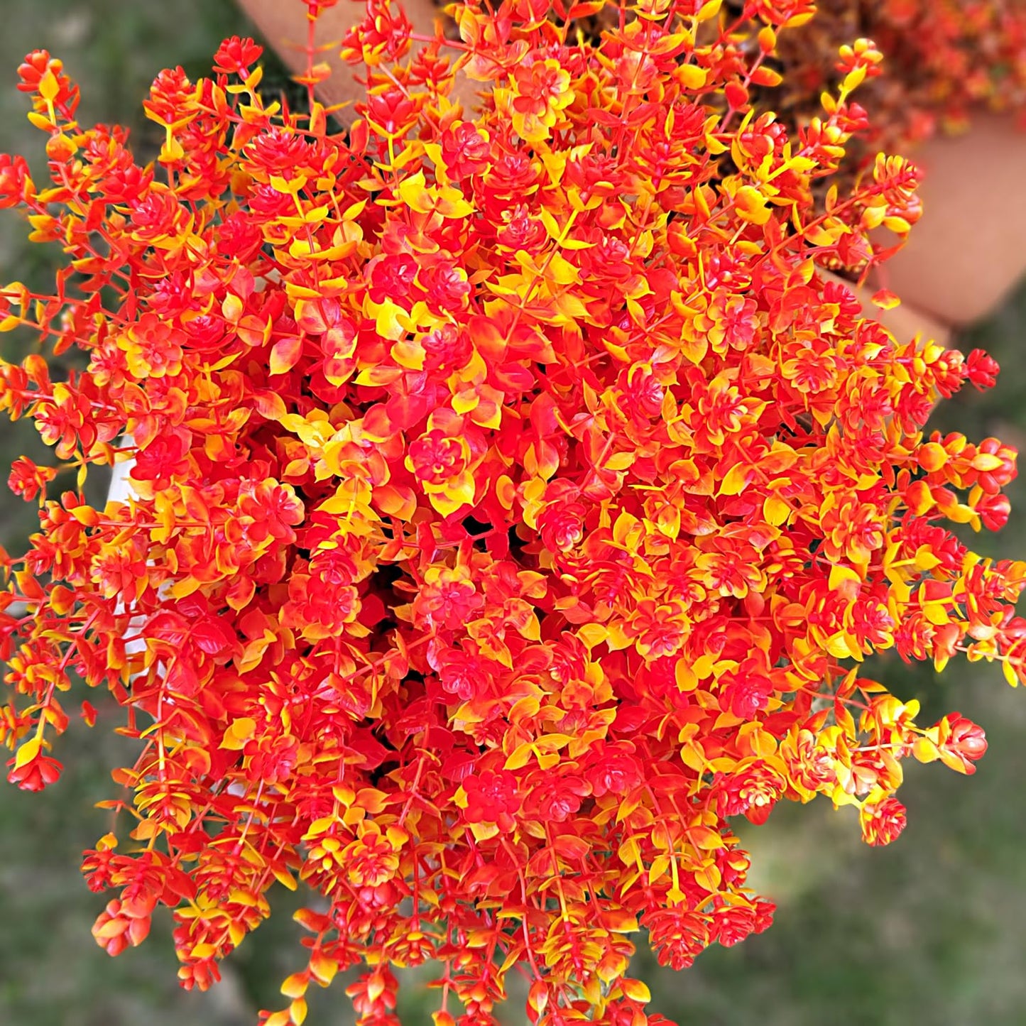 Fall Artificial Flowers for Outdoors Fake Plants - 12 Bundles Face Mums Outside Greenery UV Resistant No Fade Faux Shrubs Home Garden Porch Patio Decoration Office Thanksgiving