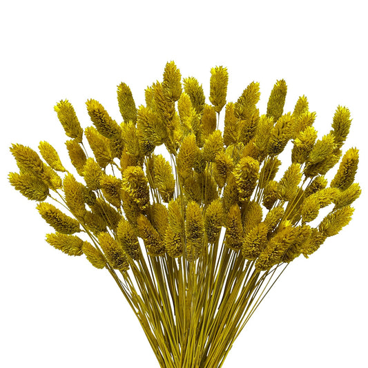 120 PCS Boho Pampas Grass, 17" Bunny Tails Gem Grass Flower Bouquet Decor for Home Wedding Farmhouse Decor (Lemon Yellow)