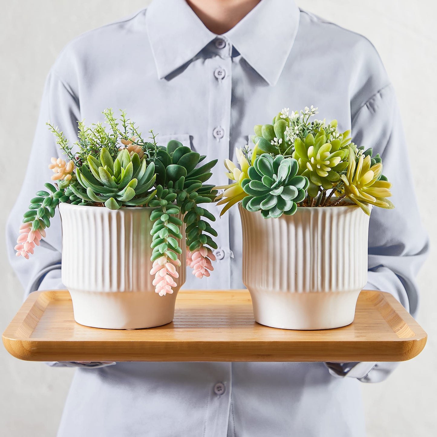 ASTRIDIA Artificial Succulent Plants, Faux Assorted Succulents Fake Plants in White Ceramic Pots for Home Decor, Bedroom, Office, Desk, Living Room, Set of 2